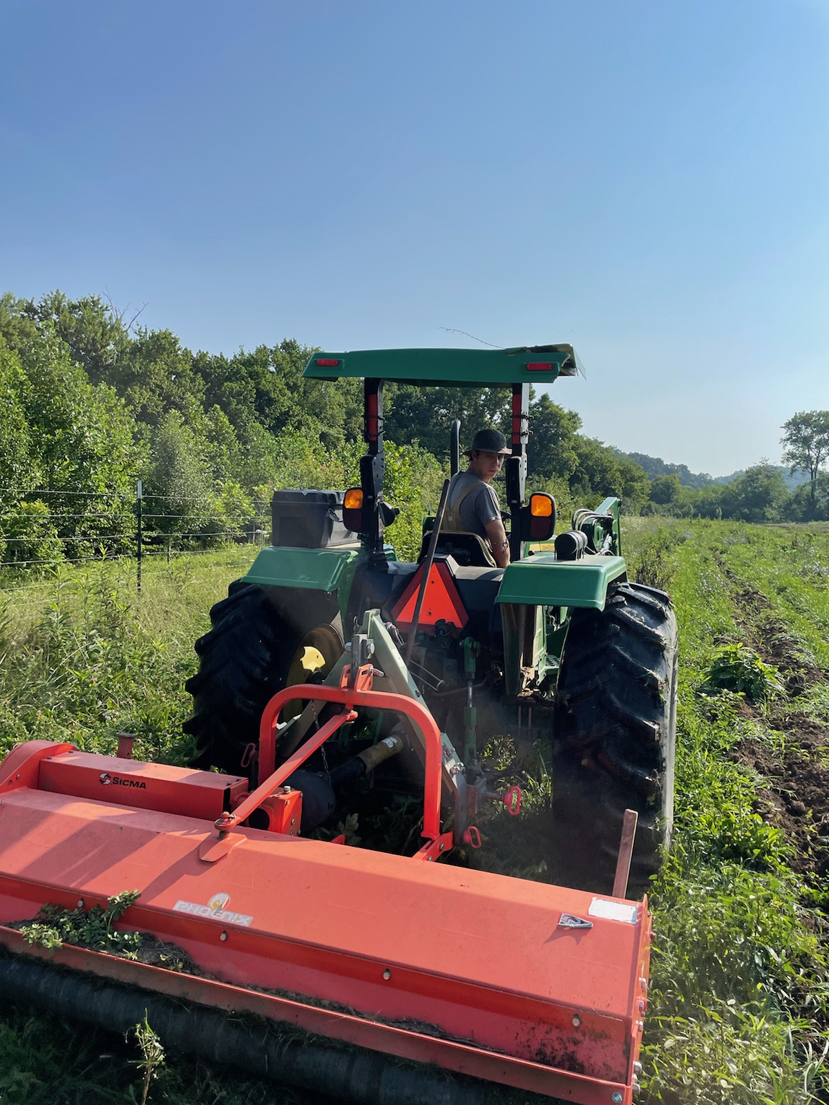 Agroforestry and farm installation
